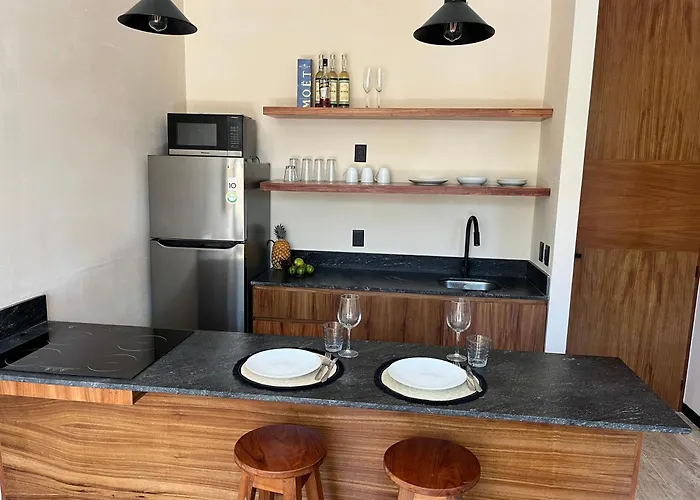 W/plunge Pool & Kitchen Apartment *